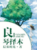 良琴择木小说主要人物